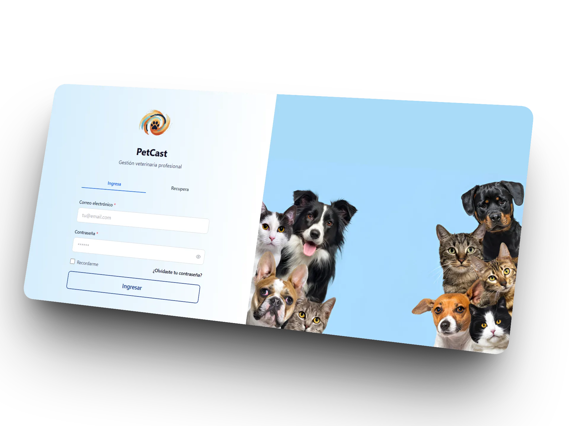 Vista del sistema de gestión Petcast